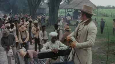 All right, everybody. - Mandingo