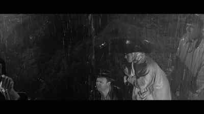 All right! Everybody stand
back and let the ambulance in! - Lonely Are the Brave