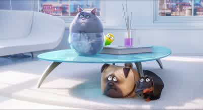 All right, fine. - The Secret Life of Pets