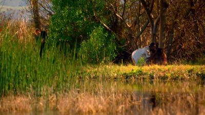 All right, get your hands
where I can see 'em right now. - CSI: Miami