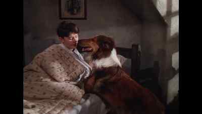 All right, girl. - Lassie Come Home