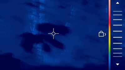 All right, guys,
I've got a clear view
from here. - Expedition Bigfoot