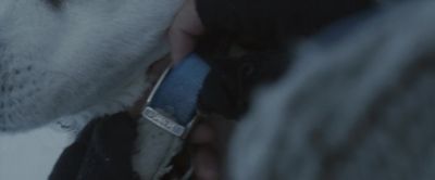 All right Here we go Won't be long - Eight Below