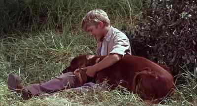 All right.
I accept your apology. - Big Red