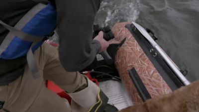 All right Java, I see a bear. - Life Below Zero: Next Generation