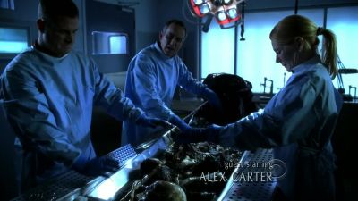 All right, so let me
get this straight. - CSI: Crime Scene Investigation