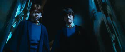 It's really quite filthy down hereAll right Let's go Oh HarryIf you die down there you're welcome to share my toiletThanks Myrtle - Harry Potter and the Chamber of Secrets