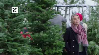 All right let's see - The Nine Kittens of Christmas