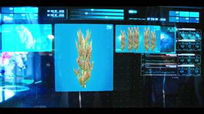 All right, let's start with our mushroom, - Star Trek: Discovery