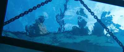 All right, listen. Standby. - 47 Meters Down
