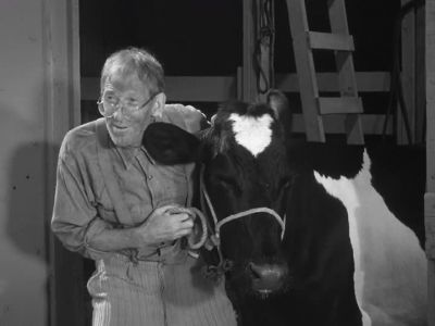 ALL RIGHT, LITTLE LADY. - The Andy Griffith Show