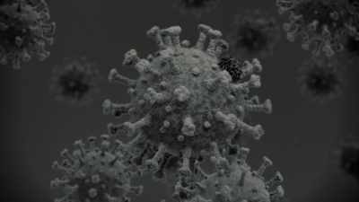 All right, it looks just like
the COVID protein, - The Bite
