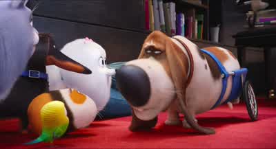 All right party's overMyron Vacuum - The Secret Life of Pets