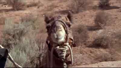 All right, Rosie. Hightail it outta here. - One Little Indian