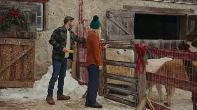 All right. - Christmas on the Alpaca Farm