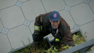 All right. - Chicago Fire