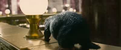- All right. - Fantastic Beasts and Where to Find Them