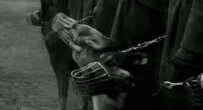 All right? - Schindler's List