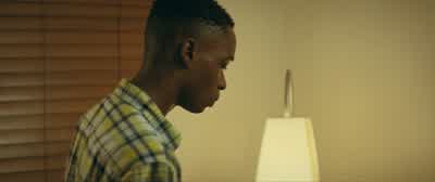 All right. - Moonlight