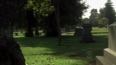 All right. - CSI: Crime Scene Investigation