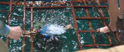 All right. - 47 Meters Down