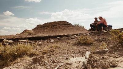 All right. - Better Call Saul