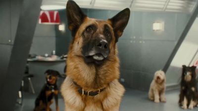 All right team We got work to do - Cats &amp; Dogs: The Revenge of Kitty Galore
