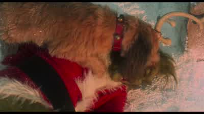 All right, that's enough. - How the Grinch Stole Christmas