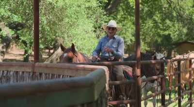 All right, so the next event
is gonna be ranch roping. - How to Be a Cowboy