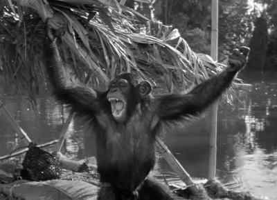 All right then, how big was he this time? - Tarzan and the Amazons