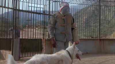 All right. There it is.
See, it's not your enemy. - White Dog