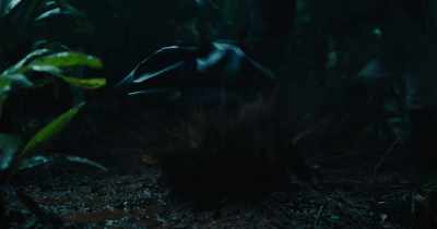 All right, we'll camp here, - The Suicide Squad