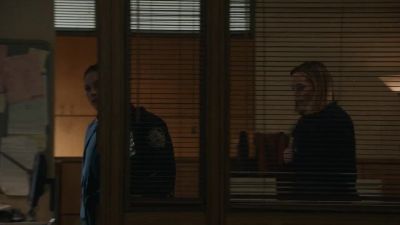 All right, well, I want
to read that testimony - Blue Bloods