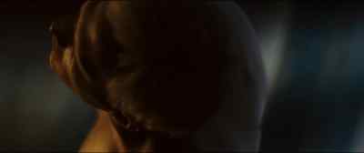 All right, well, I'll see you later, Jake. - The Da Vinci Code