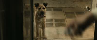 All right, you're next. - Finch