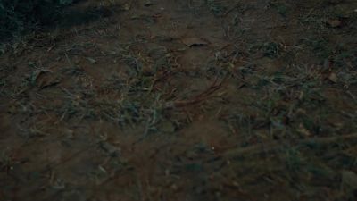 [all screaming] - Black Lightning