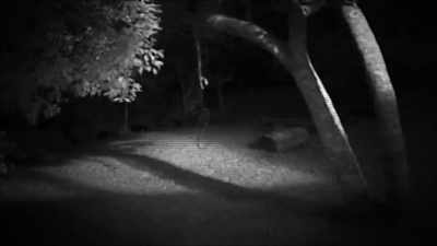 ALL SEEMS NORMAL UNTIL A
SHADOWY FIGURE EMERGES. - Strange Evidence