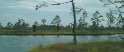 All Semigallians know about this
sacred place... - The Pagan King