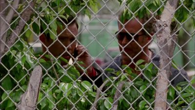 All set, Mike.
[ Cell Phone Rings ] - Burn Notice