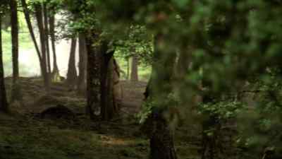 ( all shouting ) - Legend of the Seeker