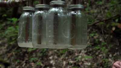 All six of these jars
serves as distillation. - Moonshiners: Master Distiller