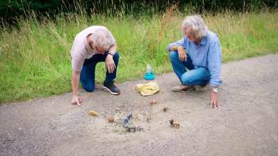 All sorts.
My favourites are visual puns. - James May and the Dull Men