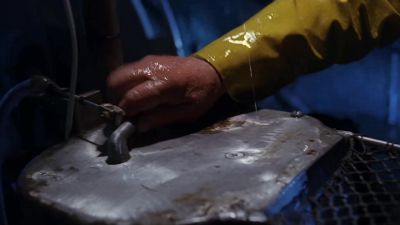 All stop! All stop! - The X-Files