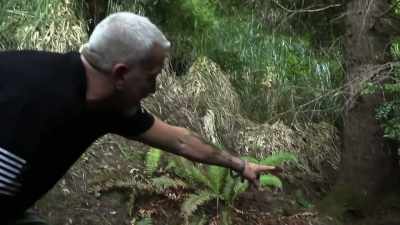 All this stuff
is all pressed down, - Expedition Bigfoot