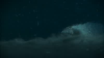 All systems critical. - Pacific Rim