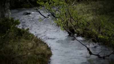 ALL THAT IS MISSING IS AN ACIDIC LIQUID - Strange Evidence