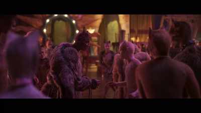 ♪ All thatyou wanted ♪ - Cats