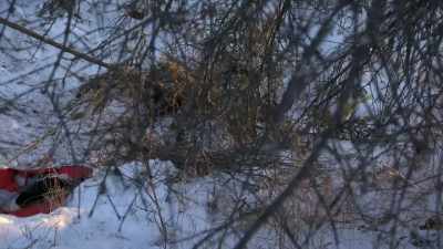 All the branches piled up
into a little tunnel, - Life Below Zero: Next Generation
