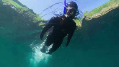 All the divers comment on
how abundant and colourful - Wild Isles