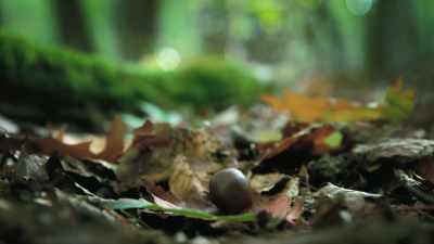 All the ingredients for new life, - Super/Natural